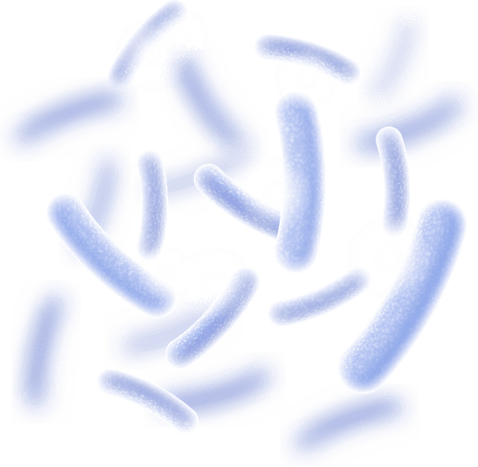 Synaptigen  Ingredient2